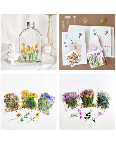 Stickers transparentes de flores, ramas, botanicas mariposas surtidas