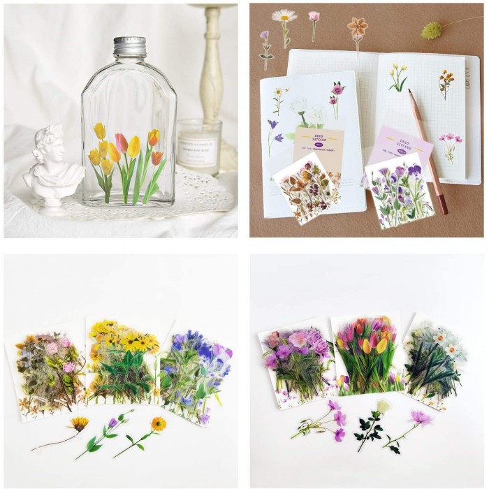 Stickers transparentes de flores, ramas, botanicas mariposas surtidas
