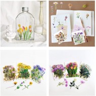 Stickers transparentes de flores, ramas, botanicas mariposas surtidas