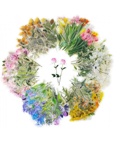 Stickers transparentes de flores, ramas, botanicas mariposas surtidas