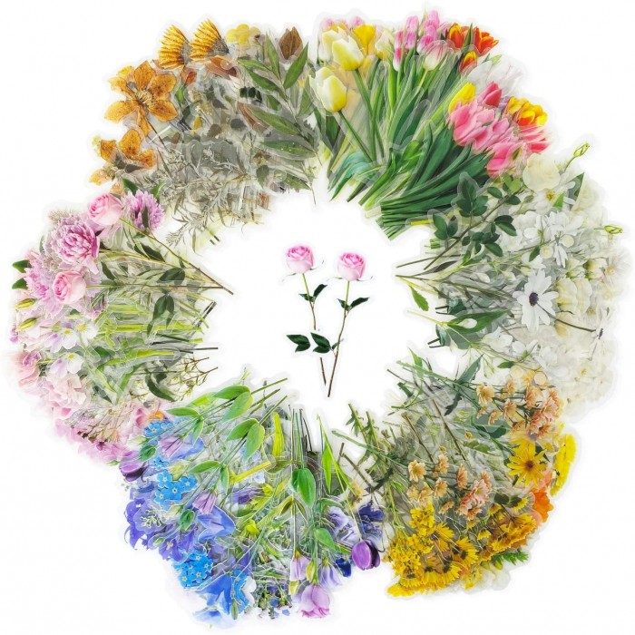 Stickers transparentes de flores, ramas, botanicas mariposas surtidas