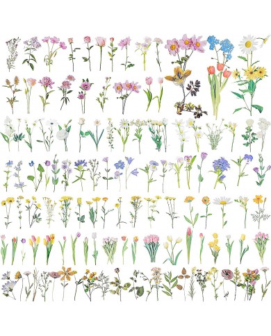 Stickers transparentes de flores, ramas, botanicas mariposas surtidas
