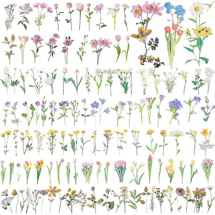 Stickers transparentes de flores, ramas, botanicas mariposas surtidas