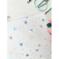 Vellum plántate con foil DUNAON