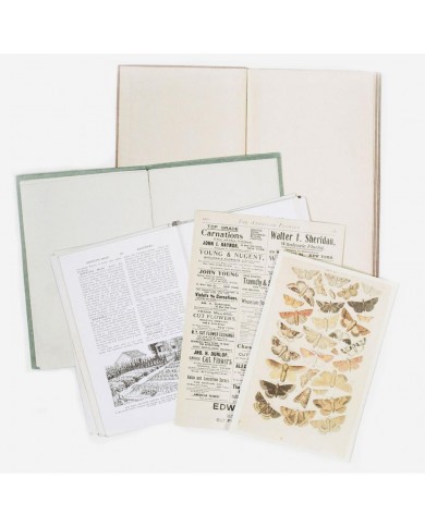 Recortables para Junk Journal Vintage Artistry Naturalist Bookplates VAN35373