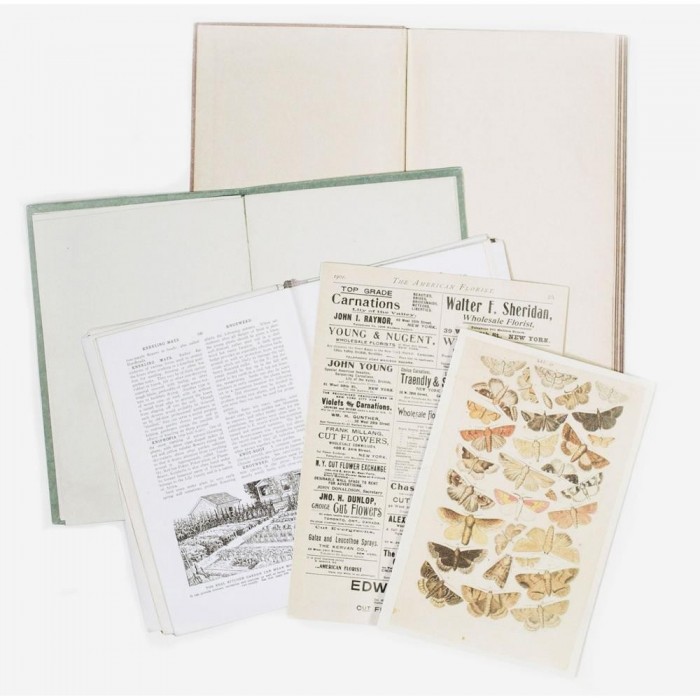 Recortables para Junk Journal Vintage Artistry Naturalist Bookplates VAN35373