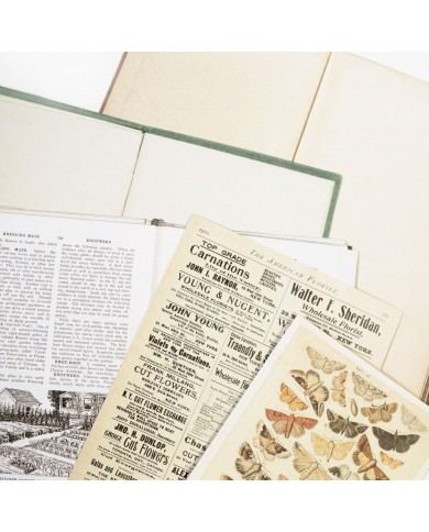 Recortables para Junk Journal Vintage Artistry Naturalist Bookplates VAN35373