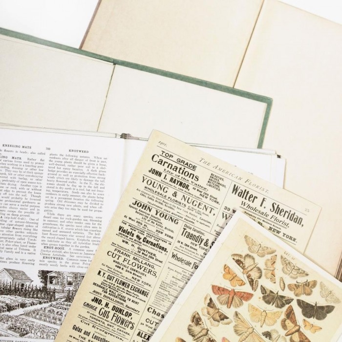 Recortables para Junk Journal Vintage Artistry Naturalist Bookplates VAN35373