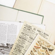Recortables para Junk Journal Vintage Artistry Naturalist Bookplates VAN35373