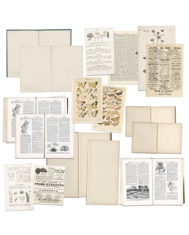 Recortables para Junk Journal Vintage Artistry Naturalist Bookplates VAN35373