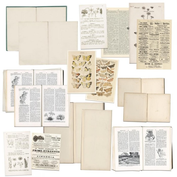 Recortables para Junk Journal Vintage Artistry Naturalist Bookplates VAN35373