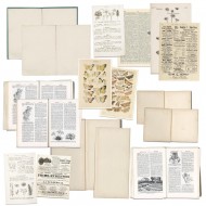 Recortables para Junk Journal Vintage Artistry Naturalist Bookplates VAN35373