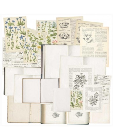 Ephemera Essential Bookplates 49andmarket C37087