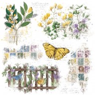 Curators Botanical Rub-Ons 30x30cmts 1/Hoja 49andmarket