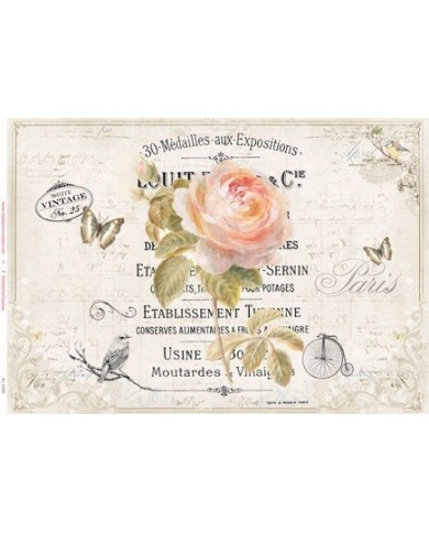 Lámina Autoadhesivaa XL6049