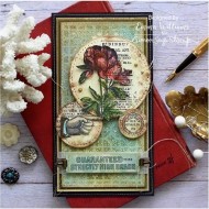 Tim Holtz Cling Rubber Stamps ECCENTRIC CMS448