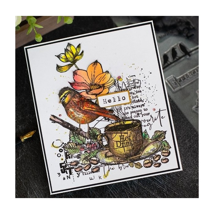 AALL and Create Stamp Set -642 XL