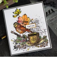 AALL and Create Stamp Set -642 XL
