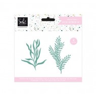 Troqueles Mon herbier 1 - SOKAI