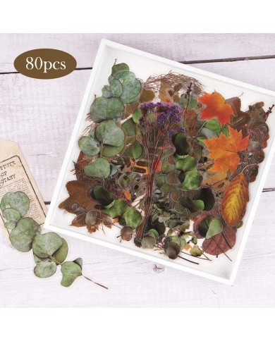 Stickers transparentes de flores, ramas, botanicas mariposas surtidas