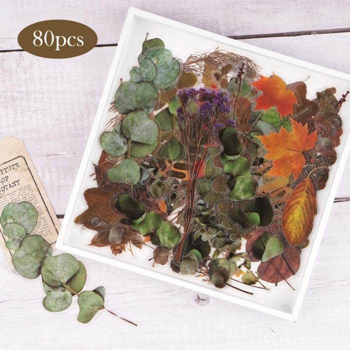 Stickers transparentes de flores, ramas, botanicas mariposas surtidas
