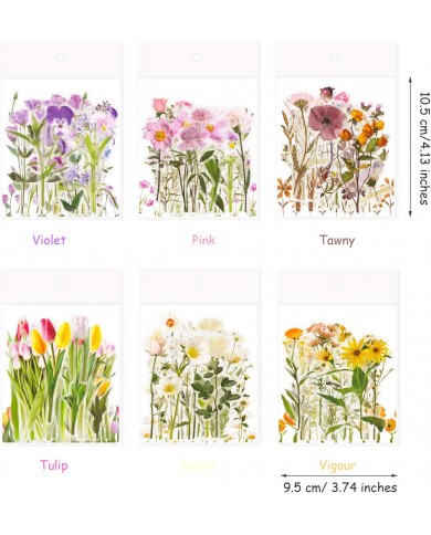 Stickers transparentes de flores, ramas, botanicas mariposas surtidas