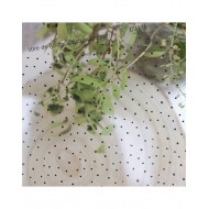 Acetato topitos negros RRPABA/AC001