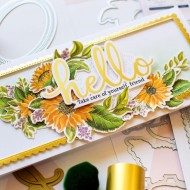 Placa Pinkfresh Studio Hot Foil Plate Sentiment Suite: Hello Foil PF162822