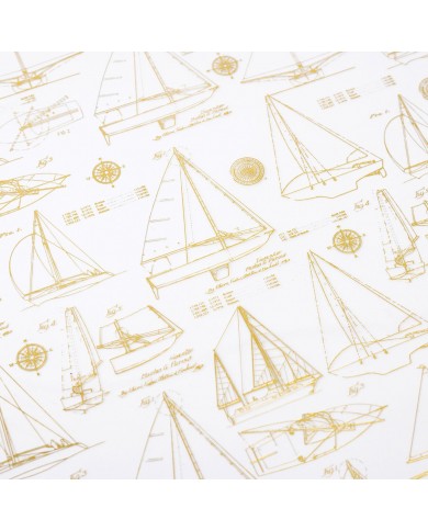Hoja de Acetato con Foil SPECIALTY PAPER - HS - SET SAIL - 12 X 12 - ACETATE WITH GOLD FOIL