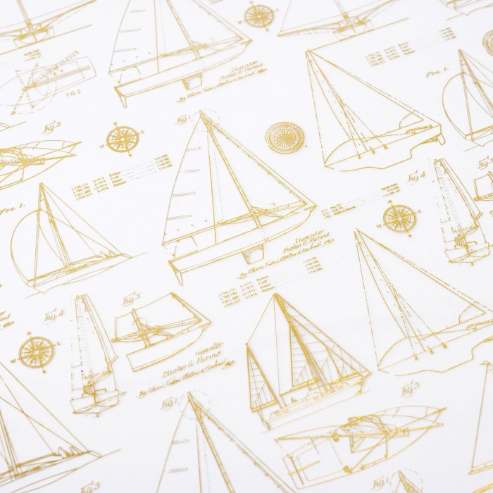 Hoja de Acetato con Foil SPECIALTY PAPER - HS - SET SAIL - 12 X 12 - ACETATE WITH GOLD FOIL