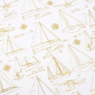Hoja de Acetato con Foil SPECIALTY PAPER - HS - SET SAIL - 12 X 12 - ACETATE WITH GOLD FOIL