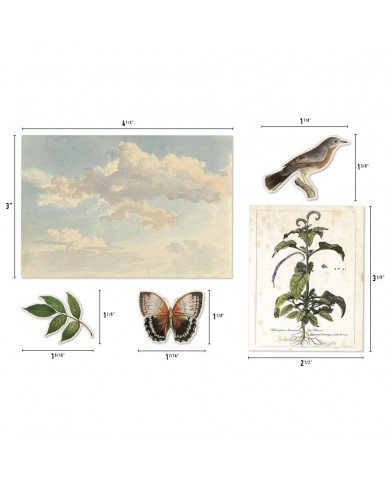 Recortables o diecuts TH94316 Idea-Ology Layers Die-Cuts 45/Pkg Organic