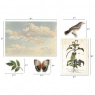Recortables o diecuts TH94316 Idea-Ology Layers Die-Cuts 45/Pkg Organic
