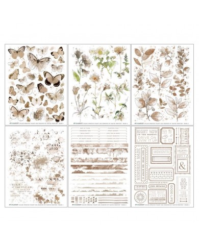 Rubons o Transferibles 49 And Market CST41121