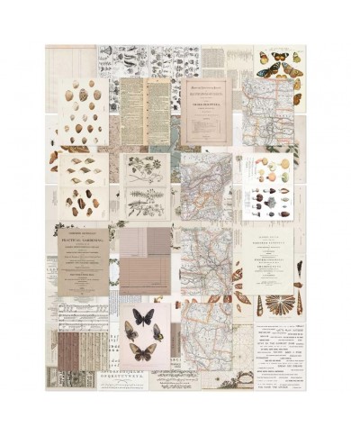 Hojas para Collage 49 And Market Collage Sheets 6"X8" 40/Pkg CST41176