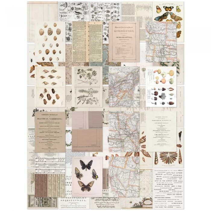 Hojas para Collage 49 And Market Collage Sheets 6"X8" 40/Pkg CST41176