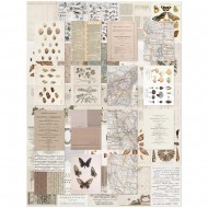 Hojas para Collage 49 And Market Collage Sheets 6"X8" 40/Pkg CST41176