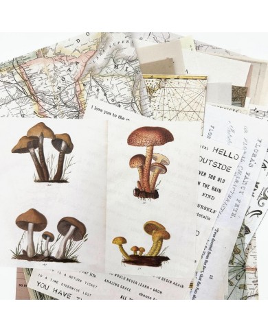 Hojas para Collage 49 And Market Collage Sheets 6"X8" 40/Pkg CST41176