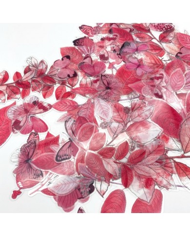 Recortables de Acetato CSB40155