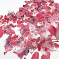 Recortables de Acetato CSB40155