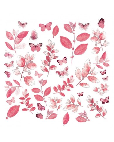 Recortables de Acetato CSB40155