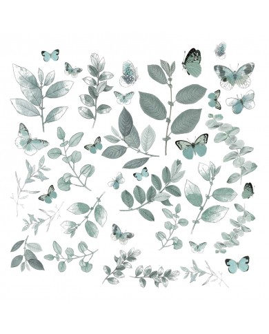 Recortables de Acetato CSE39937