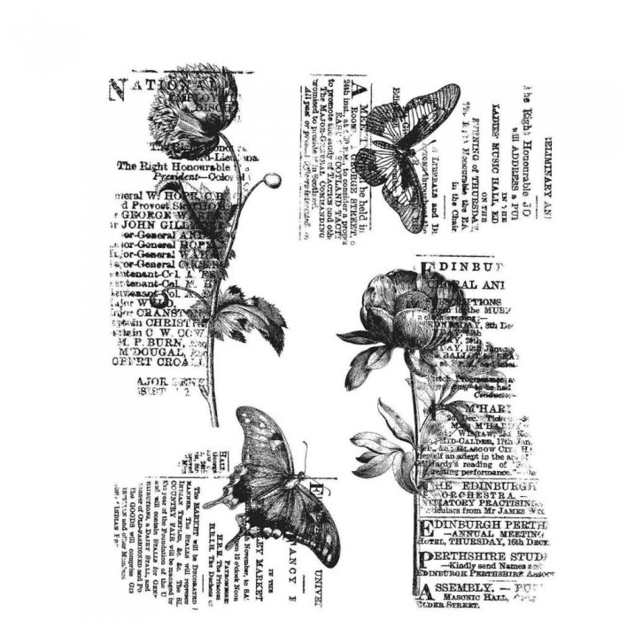 Sello de caucho de Tim Holtz CMS447 Botanic Elements