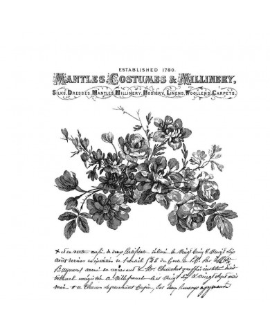 Sello de caucho de Tim Holtz CMS453 Botanic Elements