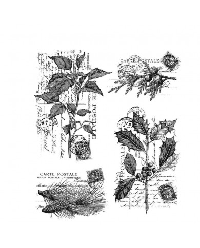 Sello de caucho de Tim Holtz CMS459 Botanic Elements