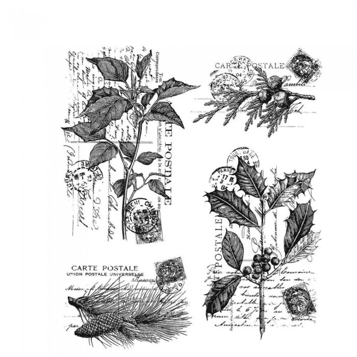 Sello de caucho de Tim Holtz CMS459 Botanic Elements