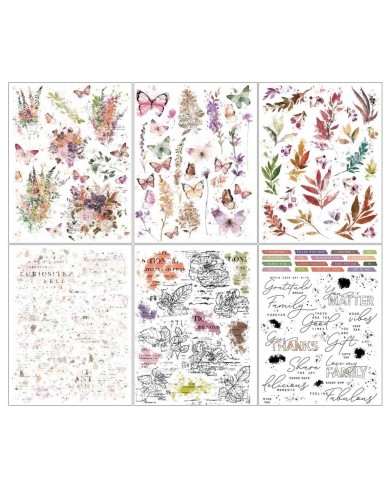 Rubons o Transferibles 49 And Market APG38510