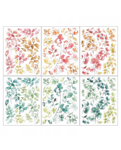 Rubons o Transferibles 49 And Market SS36394