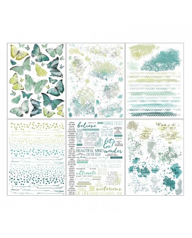 Rubons o Transferibles 49 And Market SS36424