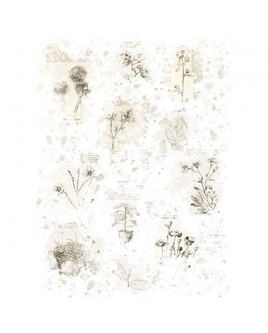 Rubons o Transferibles 49 And Market VB37506